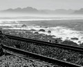 Photo by kerry rawlinson on Unsplash